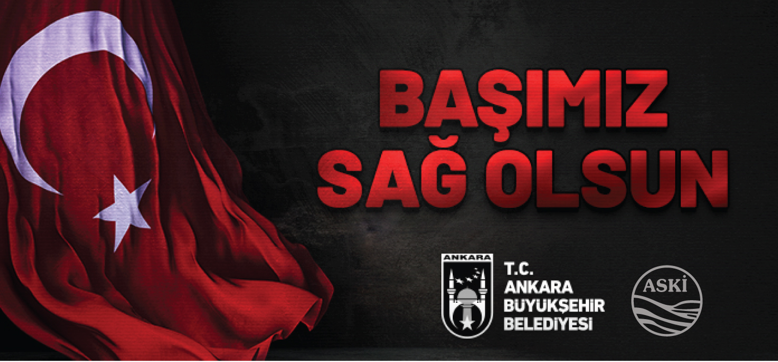 Başımız Sağolsun